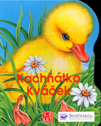 Kachňátko Kváček