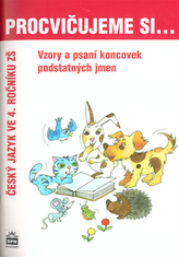 Vzory podstatných jmen a psaní jejich koncovek