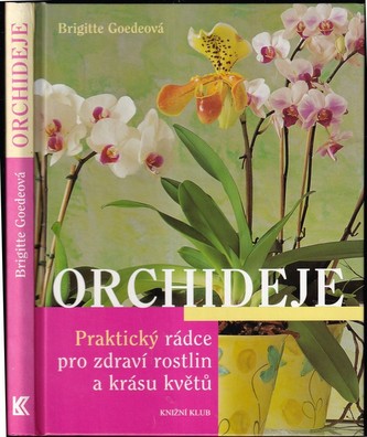 Orchideje
