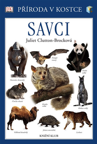 Savci Příroda v kostce
