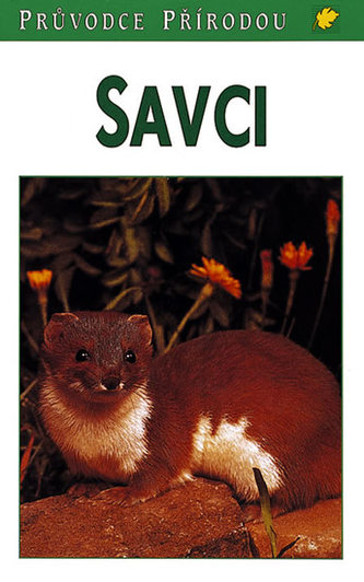 Savci