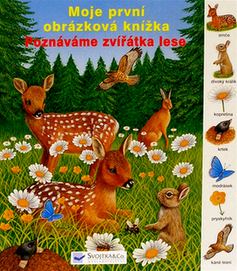 Poznáváme zvířatka v lese