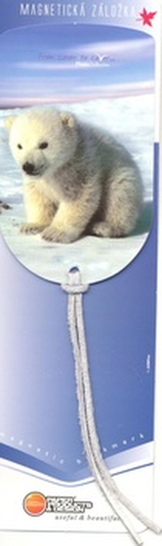 Magnetická záložka Méďa - MZ 015