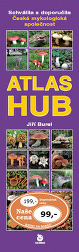 Atlas hub Atlas hub