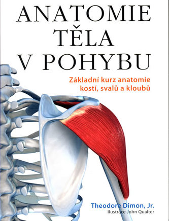 Anatomie těla v pohybu Anatomie těla v pohybu
