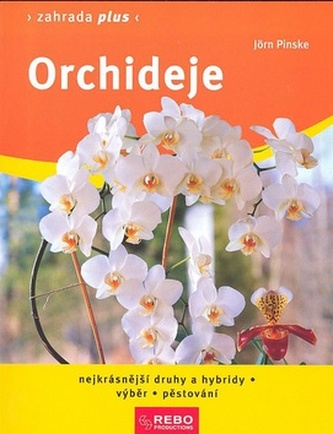 Orchideje