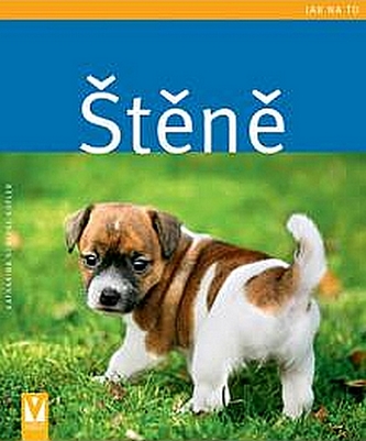 Štěně