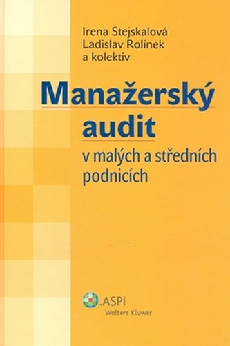 Manažerský audit v malých a středních podnicích