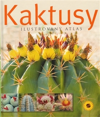 Kaktusy
