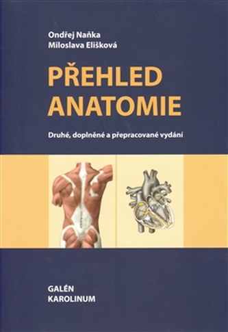 Přehled anatomie
