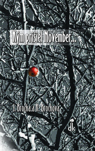 Kým prišiel November...