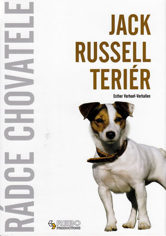 Jack Russell teriér
